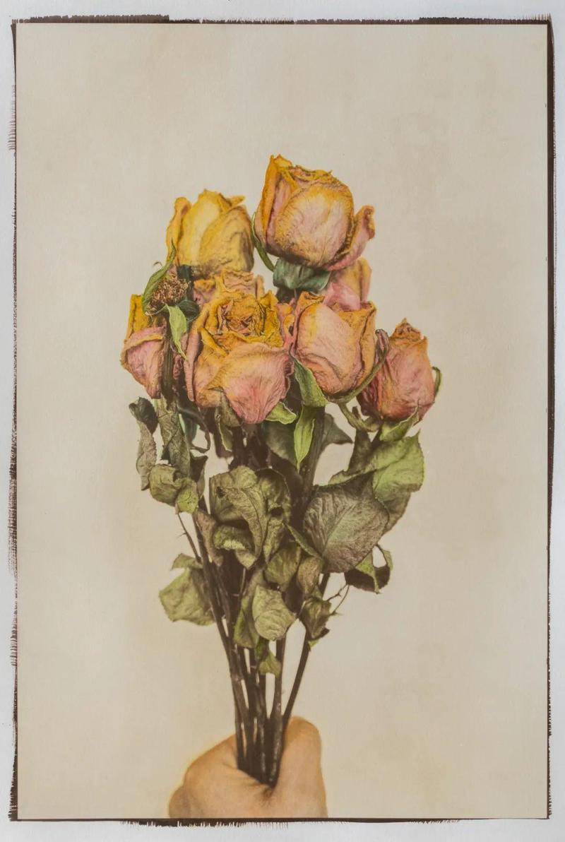 觸摸手工制作影像的溫度——“房景楠手工印相作品展”亮相深圳美術(shù)館